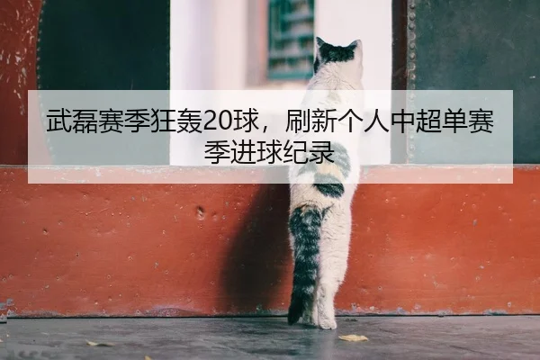武磊赛季狂轰20球，刷新个人中超单赛季进球纪录